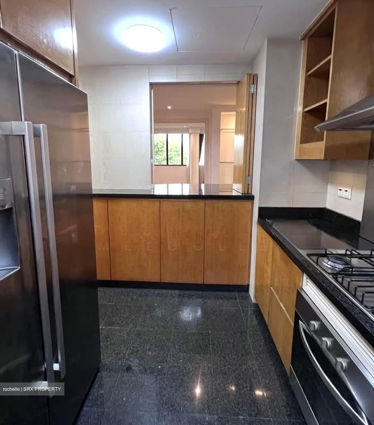 Grange 70 (D10), Apartment #605500981